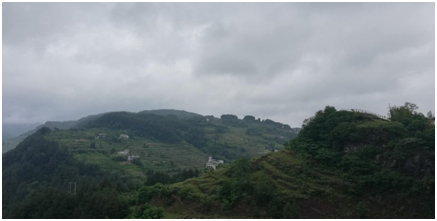 5cdb791ab09cd.png 1.png